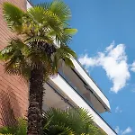 Hotel Polo
